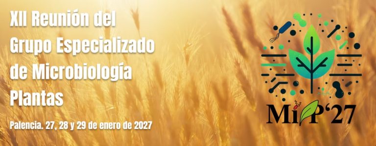 Captura de pantalla 2026-05-13 101800