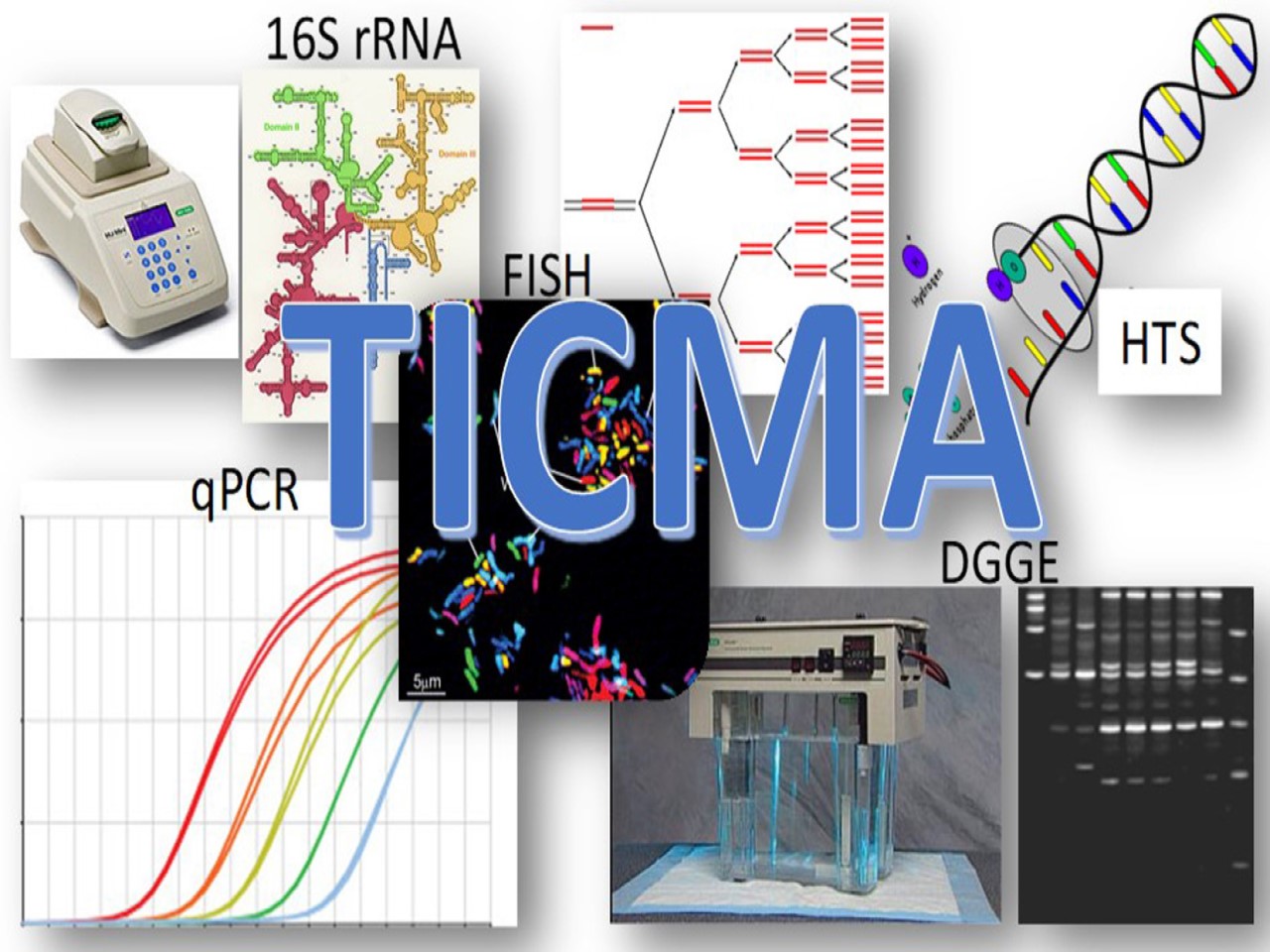 TICMA-new