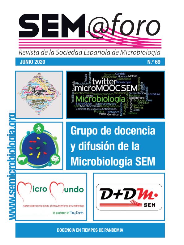 semaforo-magazine-cover-06-20