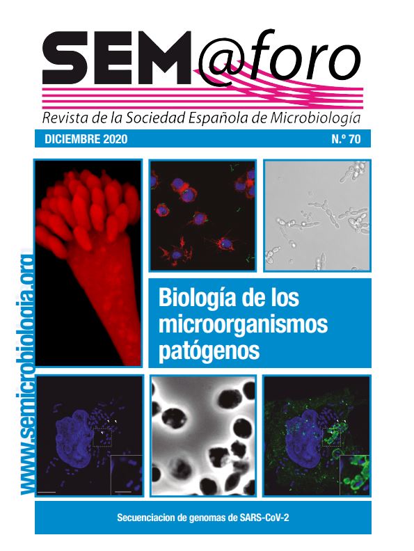 portada-revista-semaforo-12-20