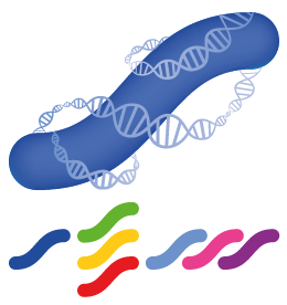 logo-molecular-microbiology