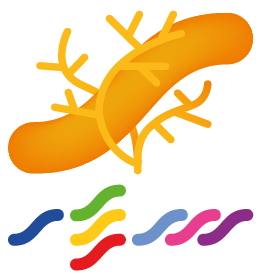 logo-taxonomy-phylogeny-diversity