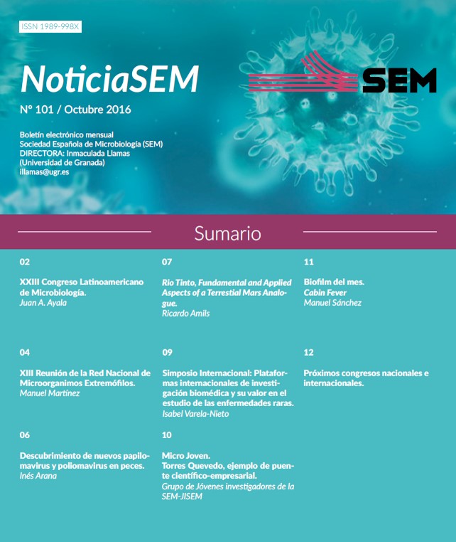 101-NoticiaSEM-Portada