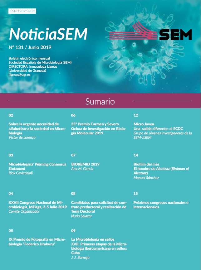 131-NewsSEM-Cover