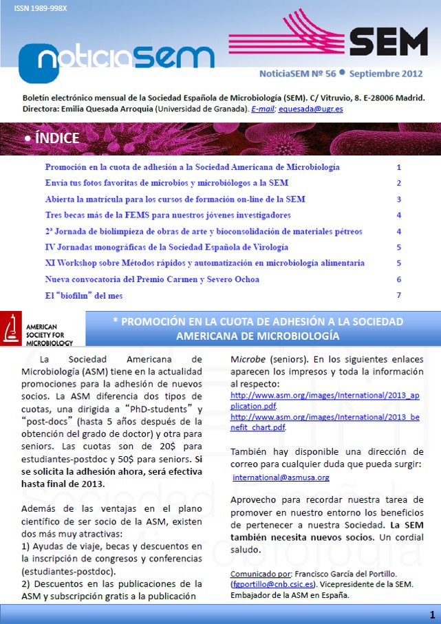 56-NoticiaSEM-Portada