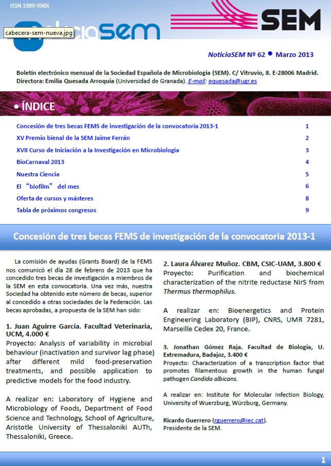 62-NoticiaSEM-Portada