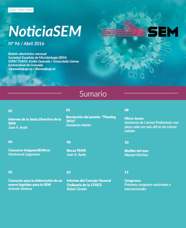 96-NoticiaSEM-Portada