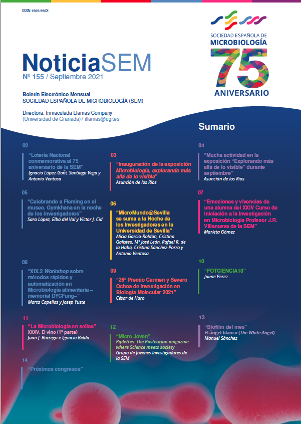 155-NoticiaSEM-Portada