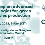 Workshop “On advanced technologies for green molecules production”