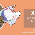 Meeting XIX TAXON – Period extension
