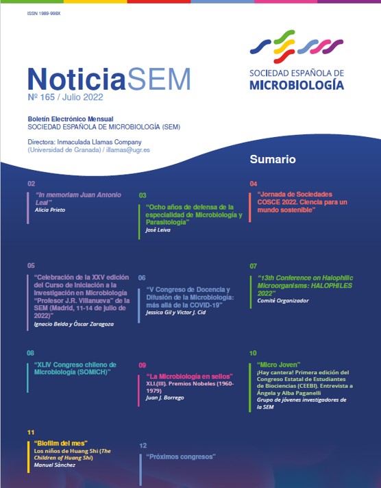 165-NoticiaSEM-Cover