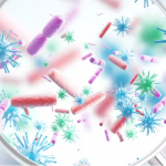¿Cómo compartimos bacterias entre nosotros?