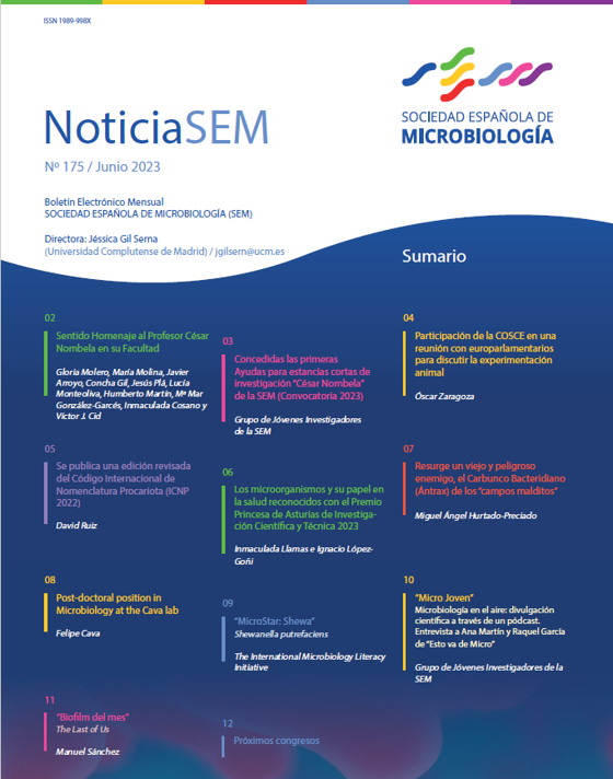 175-NoticiaSEM-Portada