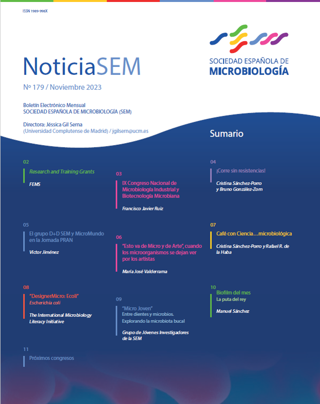 179-NoticiaSEM-Portada