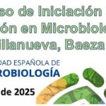 XXVIII Curso de Iniciación a la Investigación en Microbiología Profesor J. R. Villanueva