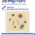 SEM@foro Nº80 is now available