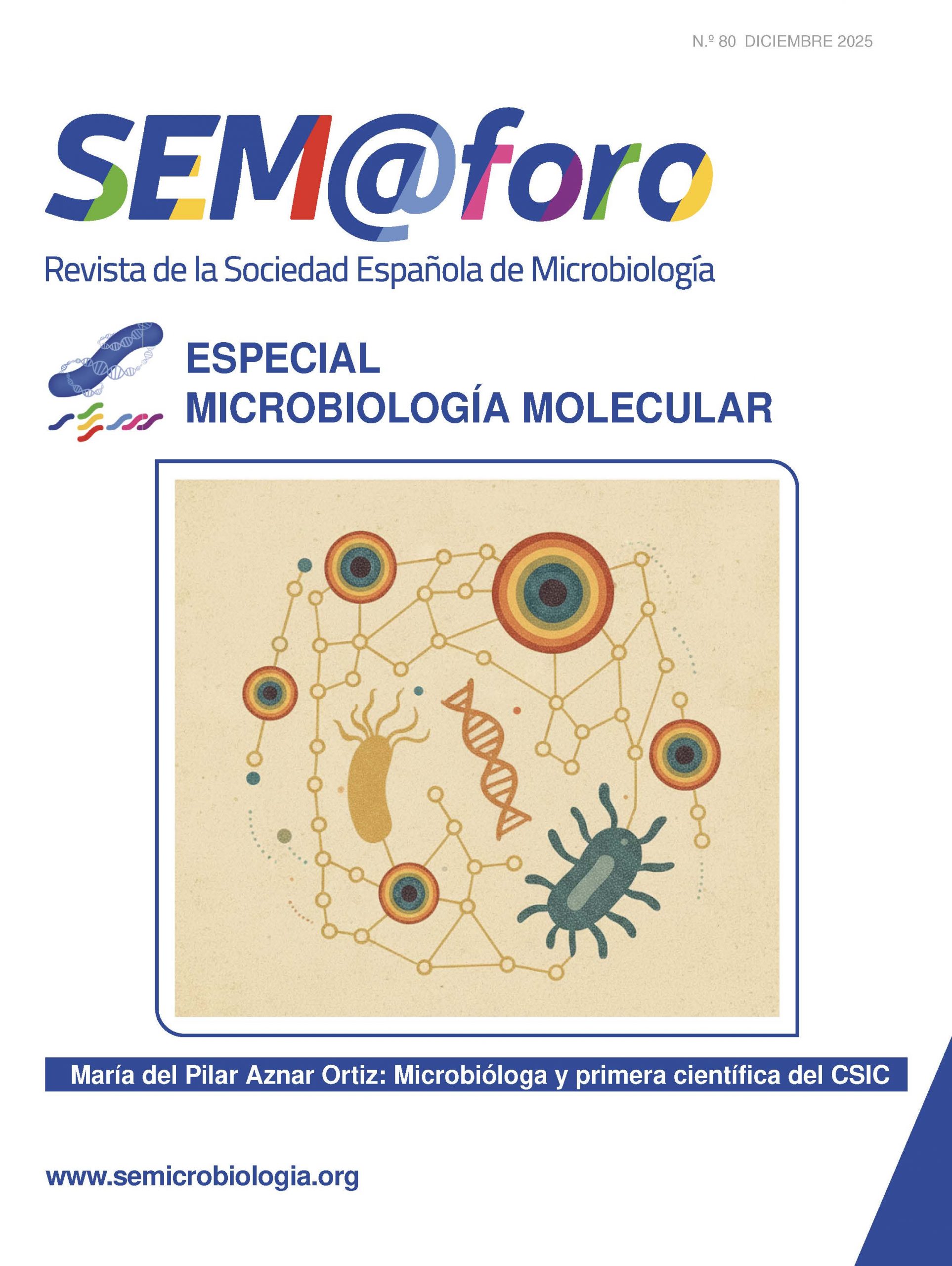 SEM_80 Cover