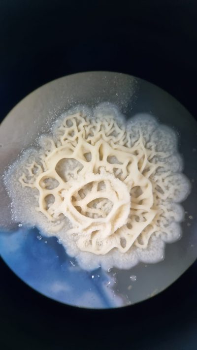 10-Torre de Marfil junto al mar