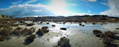 11-La lucha contra la desertificacion