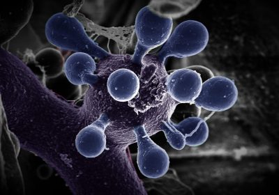 13-Naturaleza persistente