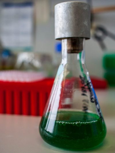 16- The object of interest