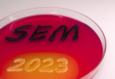 17-Salmonella y E. coli unidas en la SEM