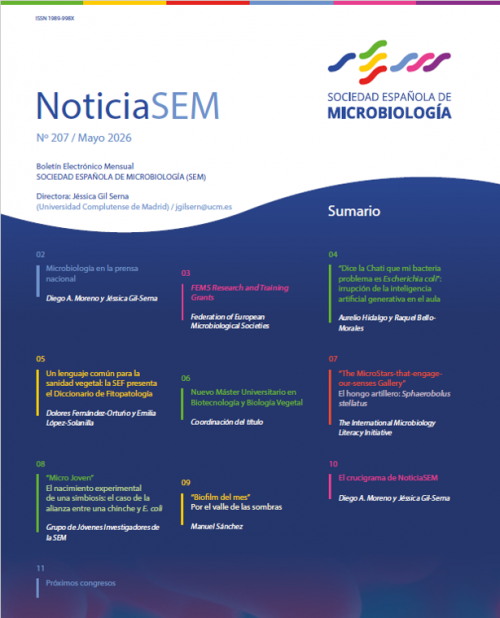 207-NoticiaSEM-Portada