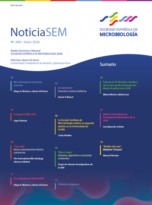 208-NoticiaSEM-Portada