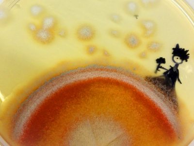 22-Le Petit Prince_Anapanaka