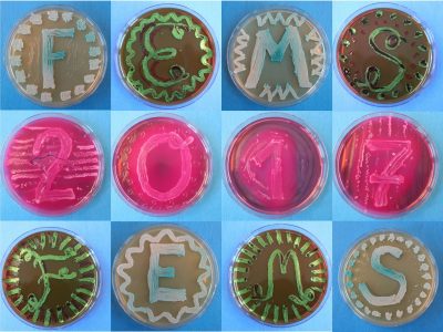 25-Societies are colorful