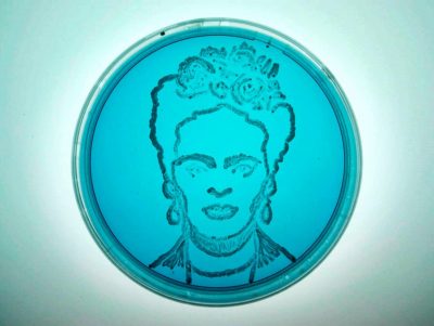 26-Frida_Kahlo_YolandaEspin