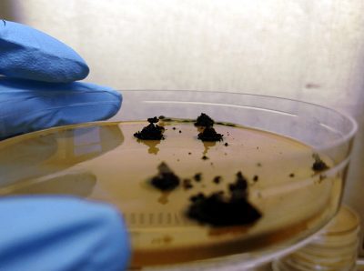 4-Volcanes_del_desierto