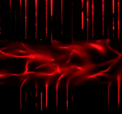 8-La llama de la supervivencia