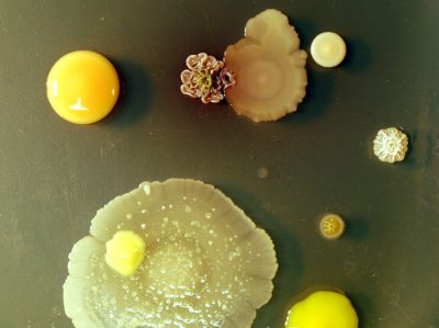 9 - VJC2_LifeonEarth