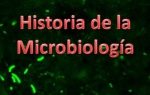 LOGO-HISTORIA-MICRO-300x191