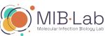 MIBLab MIBLab