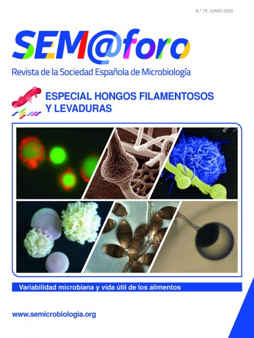 SEM_79_WEB portada