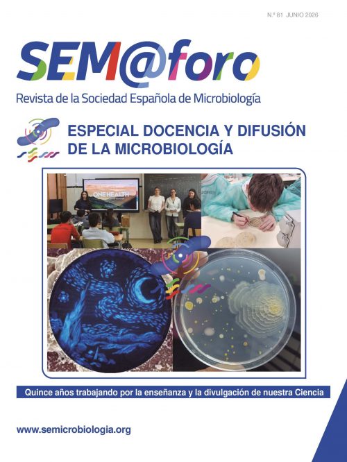 SEM_81_portada